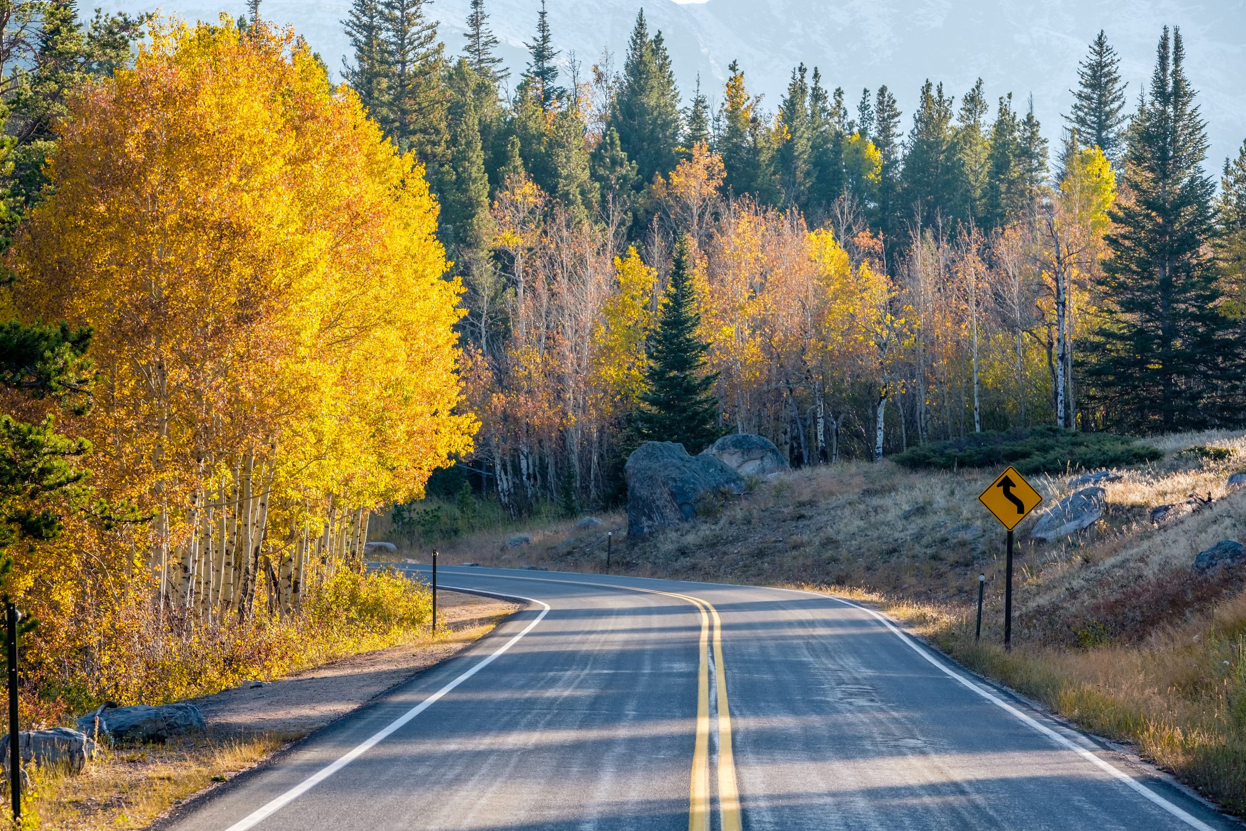 Seasonal Trends in Real Estate